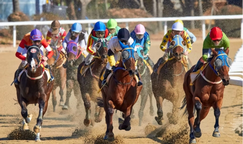 Horses Top the Current Odds